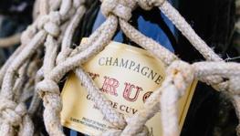 Imagen principal de la ficha